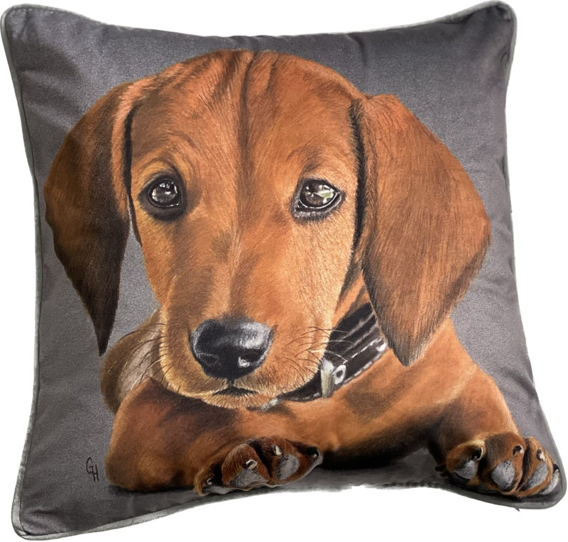 Dachshund Dog Print Square Cushion,Grey. 45x45cm (CSHN19)