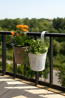 Set Of 2 Metal Flower Pot With Handle