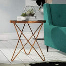 Puccini Mirrored/Glass Round Side Table, Copper (6024409776291)