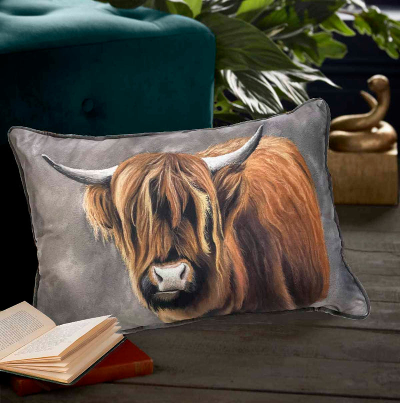Highland Cow Velvet Cushion, 30x50cm (CSHN02)