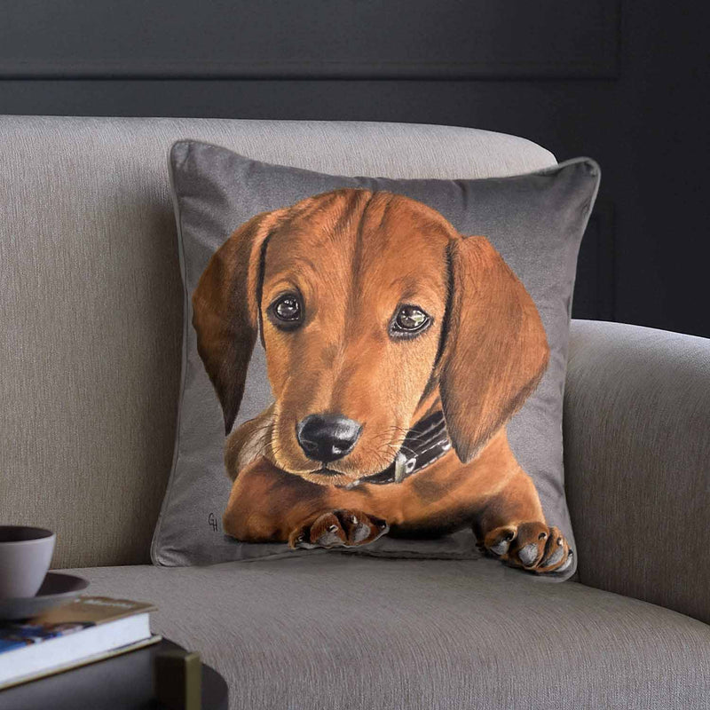 Dachshund Dog Print Square Cushion,Grey. 45x45cm (CSHN19)