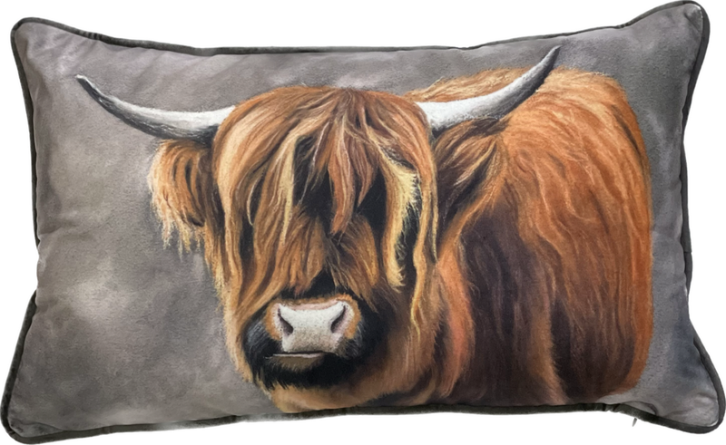 Highland Cow Velvet Cushion, 30x50cm (CSHN02)