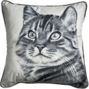 Tabby Cat Print Pillow/Velvet Cushion,Black/White. 45x45cm (CSHN08)