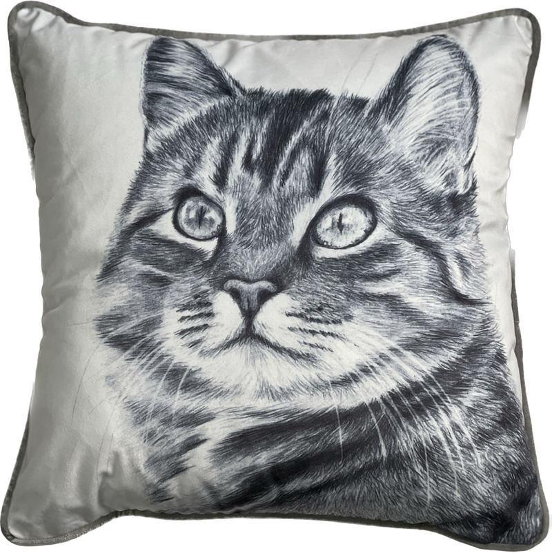 Tabby Cat Print Pillow/Velvet Cushion,Black/White. 45x45cm (CSHN08)